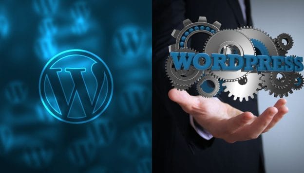 managed vs shared WordPress hosting